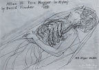 Alien III Face Hugger in Ripley — Drawing 104