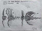 Alien III Face Hugger Swimming — Drawing 100