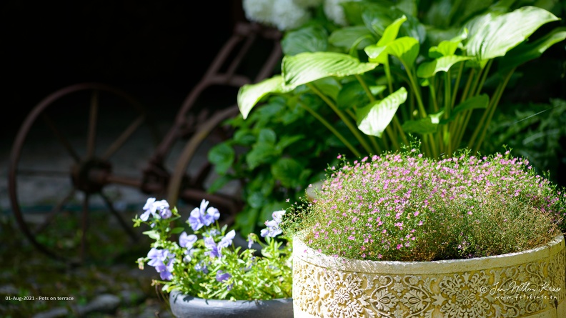 Pots on terrace - GFK-20210801-D800-6736-wallpaper-16_9.jpg Pots on terrace