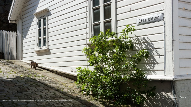 Small wooden house at Øvre Strandgate (Upper Strandgate) number 62, located in Gamle Stavanger (Old Stavanger). It has been build about 1856 by Michael Ølberg.
Old Stavanger consists of 173 protected and restored small wooden cottages that were built in the late 18th and early 19th centuries. The area, also known as Straen, is Northern Europe's best-preserved wooden house complex. Most of the houses are small and painted white. Small wooden white house located at Øvre Strandgate 62 in Gamle Stavanger (Old Stavanger), with cat walking in front of it at a suny day