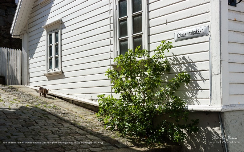 Small wooden house at Øvre Strandgate (Upper Strandgate) number 62, located in Gamle Stavanger (Old Stavanger). It has been build about 1856 by Michael Ølberg.
Old Stavanger consists of 173 protected and restored small wooden cottages that were built in the late 18th and early 19th centuries. The area, also known as Straen, is Northern Europe's best-preserved wooden house complex. Most of the houses are small and painted white. Small wooden white house located at Øvre Strandgate 62 in Gamle Stavanger (Old Stavanger), with cat walking in front of it at a suny day