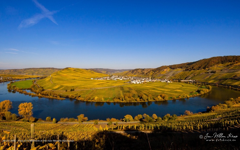 The village Trittenheim located along the river Moselle and surrounded by vineyards. View on the village Trittenheim and the yellow colouring vineyards at a big bend in the river Moselle during autumn