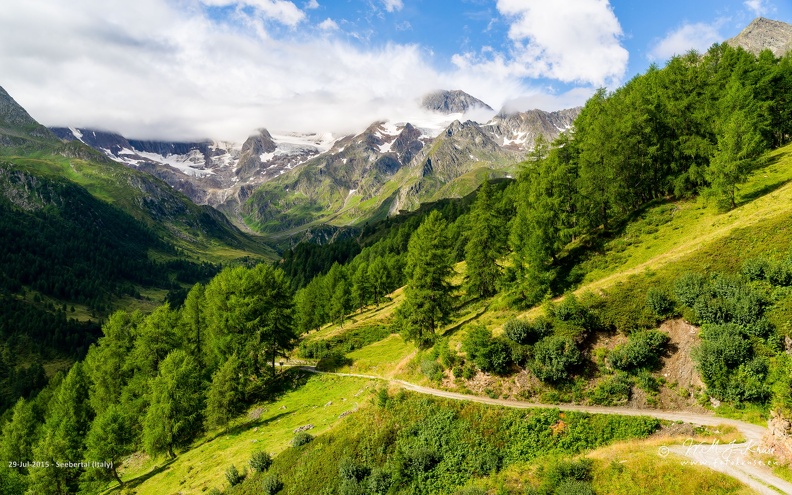 Seebertal (Italy) - GFK-20150729-D800-3653-wallpaper-16_10.jpg Green meadows and pine tree forest covered in the morning sun with high mountain peaks and glaciers in the background.