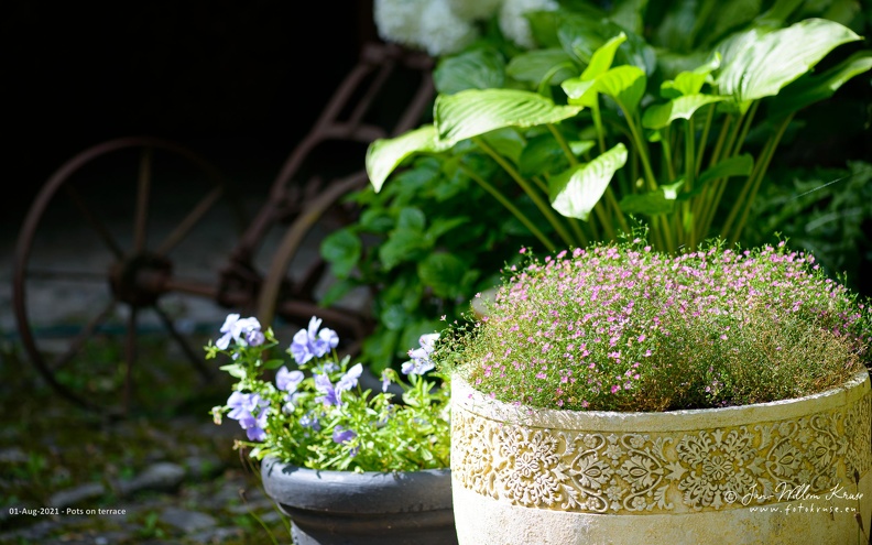 Pots on terrace - GFK-20210801-D800-6736-wallpaper-16_10.jpg Pots on terrace