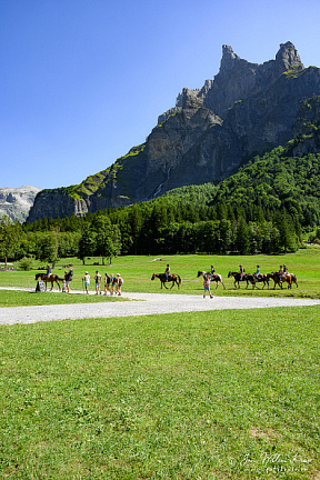 Cirque du Fer-à-Cheval with 2nd from the right the mountain peak Corne du Chamois (Chamois Horns) (509 visits) The Cirque du Fer-à-Cheval is a large cirque in the Giffre Massif in the French Prealps near the vi... Cirque du Fer-à-Cheval with 2nd from the right the mountain peak Corne du Chamois (Chamois Horns)
