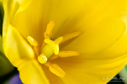 Z9-4187 (315 visits) Z9-4187