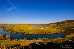 View on Trittenheim at the river Moselle