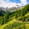 seebertal-valley-mountain-road-meadow-pine-trees_D800-3653.jpg