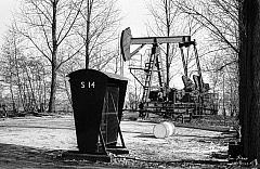 Pumpjack (Hankenhofweg, Schoonebeek, The Netherlands)