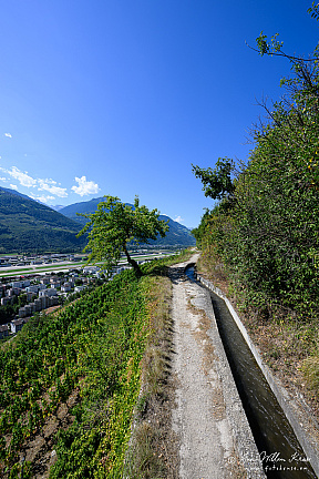 Z9-9202 (2049 visits) Z9-9202