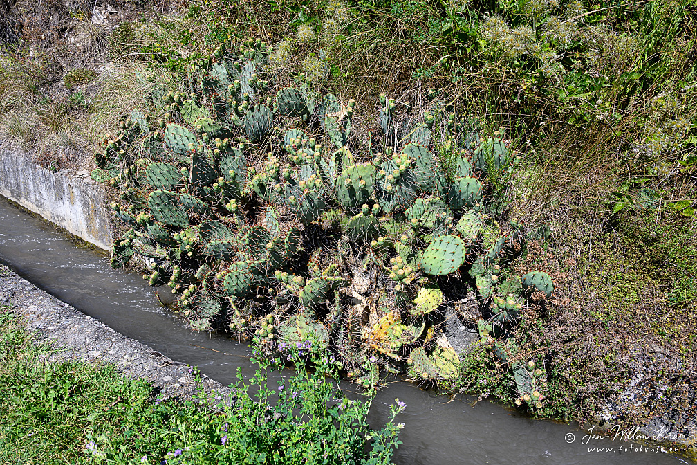 Z9-9240 (590 visits) Z9-9240