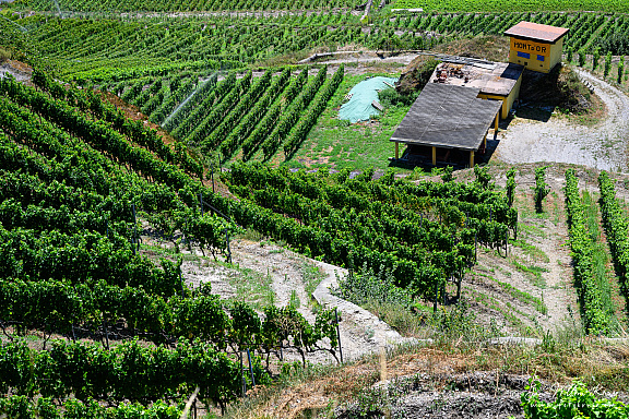 Z9-9273 (1469 Besuche) Z9-9273