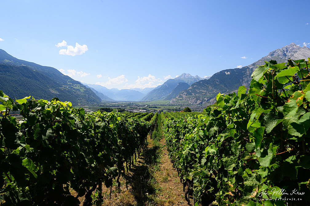 Z9-9349 (1460 visits) Z9-9349