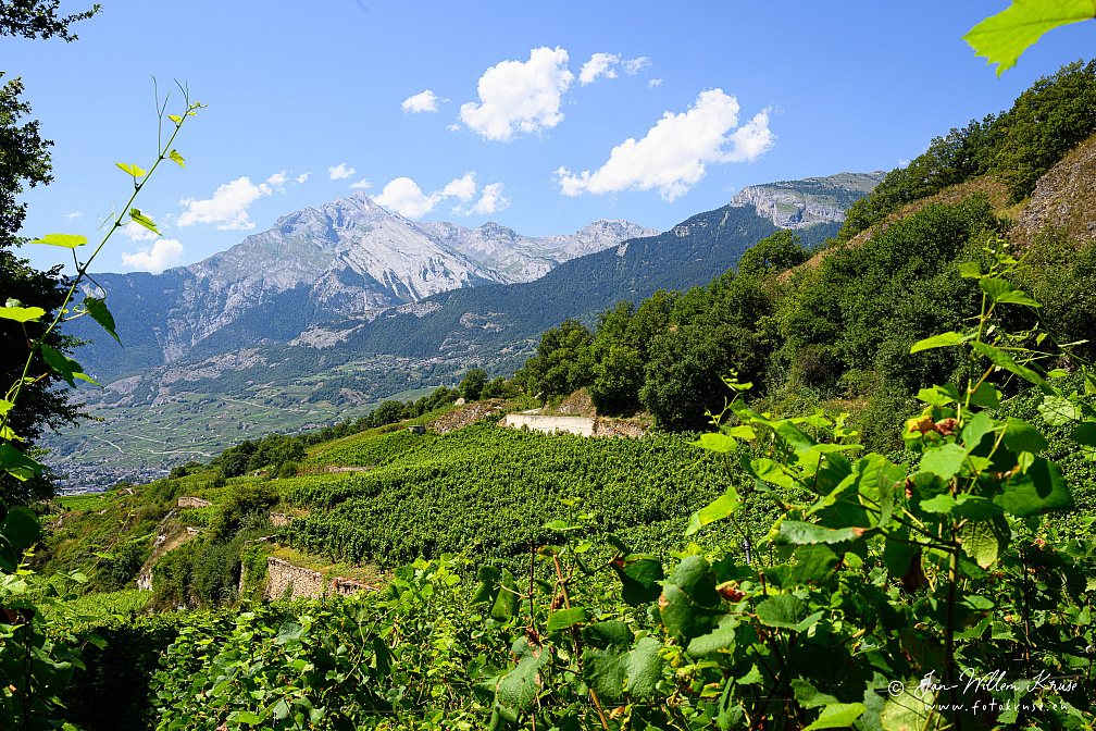 Z9-9379 (821 visits) Z9-9379