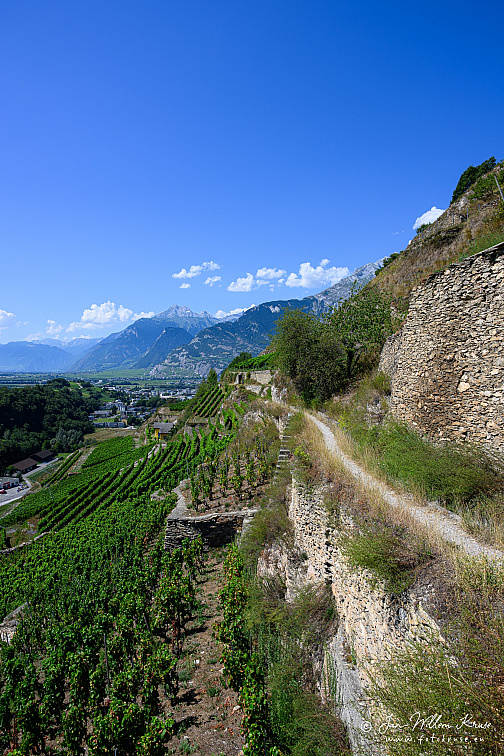 Z9-9267 (1 visits) Z9-9267