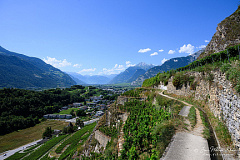 Z9-9283 (1 visits) Z9-9283