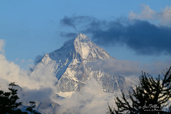 Z9-2701a (367 visits) Z9-2701a