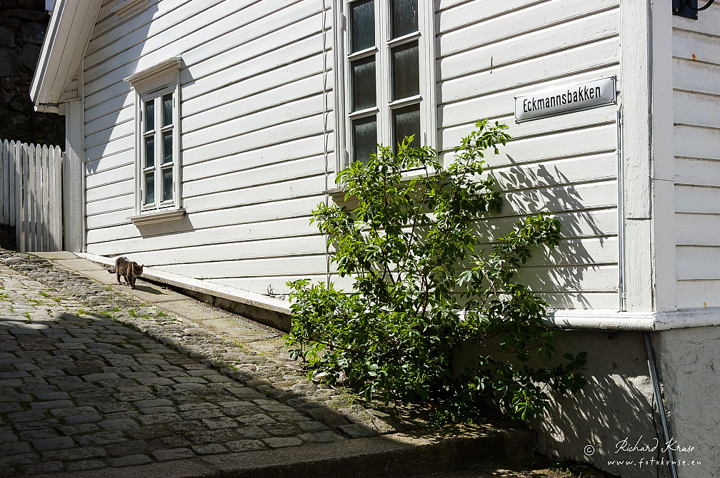 Small wooden house (1856) at Øvre Strandgate 62 in Old Stavanger (1 Besuche) Small wooden house at Øvre Strandgate (Upper Strandgate) number 62, located in Gamle Stavanger (Old... Small wooden house (1856) at Øvre Strandgate 62 in Old Stavanger