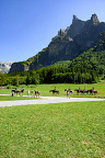Cirque du Fer-à-Cheval with 2nd from the right the mountain peak Corne du Chamois (Chamois Horns) (1 visits) The Cirque du Fer-à-Cheval is a large cirque in the Giffre Massif in the French Prealps near the vi... Cirque du Fer-à-Cheval with 2nd from the right the mountain peak Corne du Chamois (Chamois Horns)