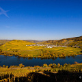 river-moselle-autumn-colours-vineyards-trittenheim_D100-6026.jpg