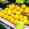 leeuwarden-market-melon_Z9-7493.jpg