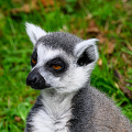 _Z9-4654.jpg