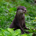 _Z9-4831.jpg