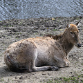 _Z9-4897.jpg