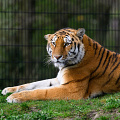 _Z9-5006.jpg