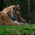_Z9-5057.jpg