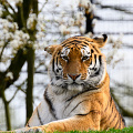 _Z9-5128.jpg