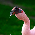 _Z9-5302.jpg