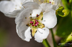 fgk-20250412- DSC1110.jpg-
