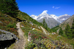 Alphubel above the Täschalp–Tufteren High Trail (1 visits) An Alpine hiking trail crosses larch-covered slopes beneath the glaciated Alphubel above Täsch, wit... Alphubel above the Täschalp–Tufteren High Trail