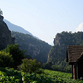 fgk-20260813-Z9-0443a-gorges-de-la-borgne-bramois-vineyards-gorge-entrance.jpg