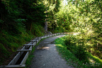 Forest Trail beside an Open Irrigation Channel