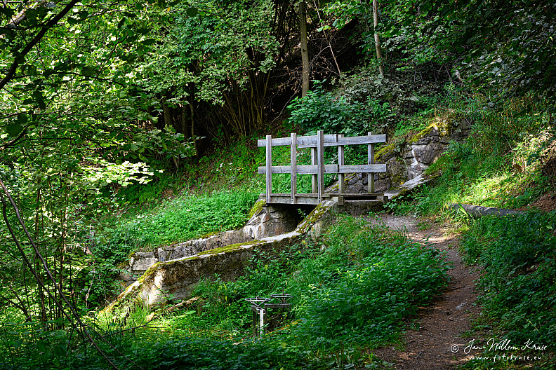 Small wooden footbridge over a narrow irrigation channel in dense green forest.
