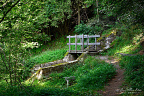 Footbridge over a Forest Irrigation Channel