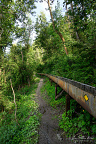 Hiking Trail beside an Elevated Irrigation Flume