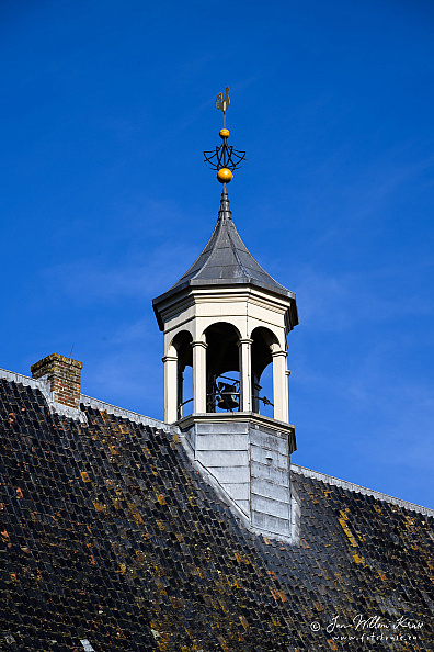 Open bell turret with a rooster weather vane rising above the tiled roof of the Boschkerk.