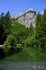 Woodland Pond at Cirque du Fer-à-Cheval