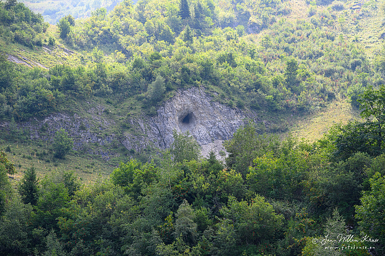 Small dark cave opening in exposed grey limestone surrounded by shrubs and trees.