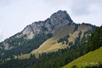 Limestone Ridge above the Hongrin Region (12 visits) A rugged limestone ridge rises above alpine meadows and conifer forest in the Vaud Alps. Limestone Ridge above the Hongrin Region