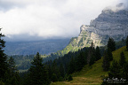 Limestone Escarpment in the Vaud Alps (13 visits) A towering stratified limestone escarpment rises above conifer forest and a high alpine meadow. Limestone Escarpment in the Vaud Alps
