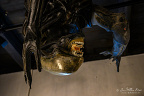 fgk-20260818-Z9-3635a-