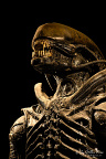 fgk-20260818-Z9-3765a-