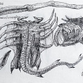 fgk-20260818-Z9-3597a-Copy 1.jpg