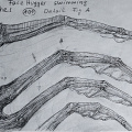 fgk-20260818-Z9-3599a-Copy 1.jpg