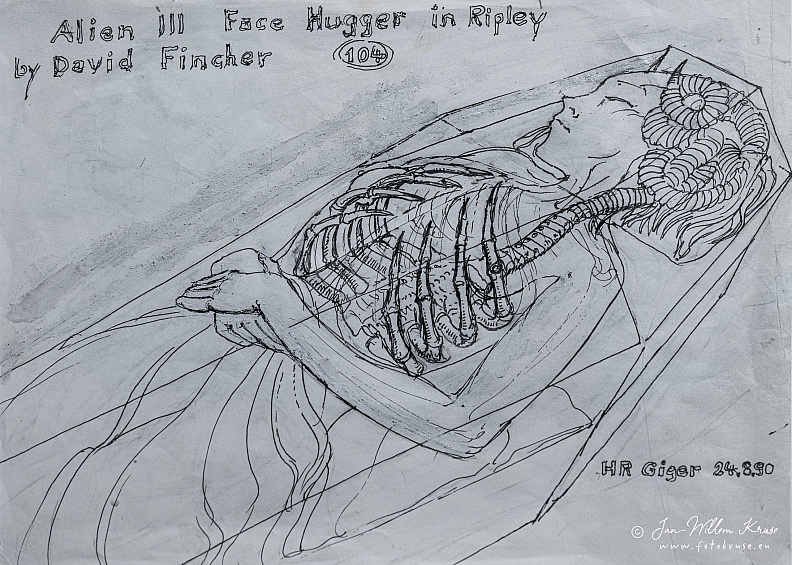 fgk-20260818-Z9-3600a-Copy 1.jpg