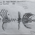 fgk-20260818-Z9-3601a-Copy 1.jpg